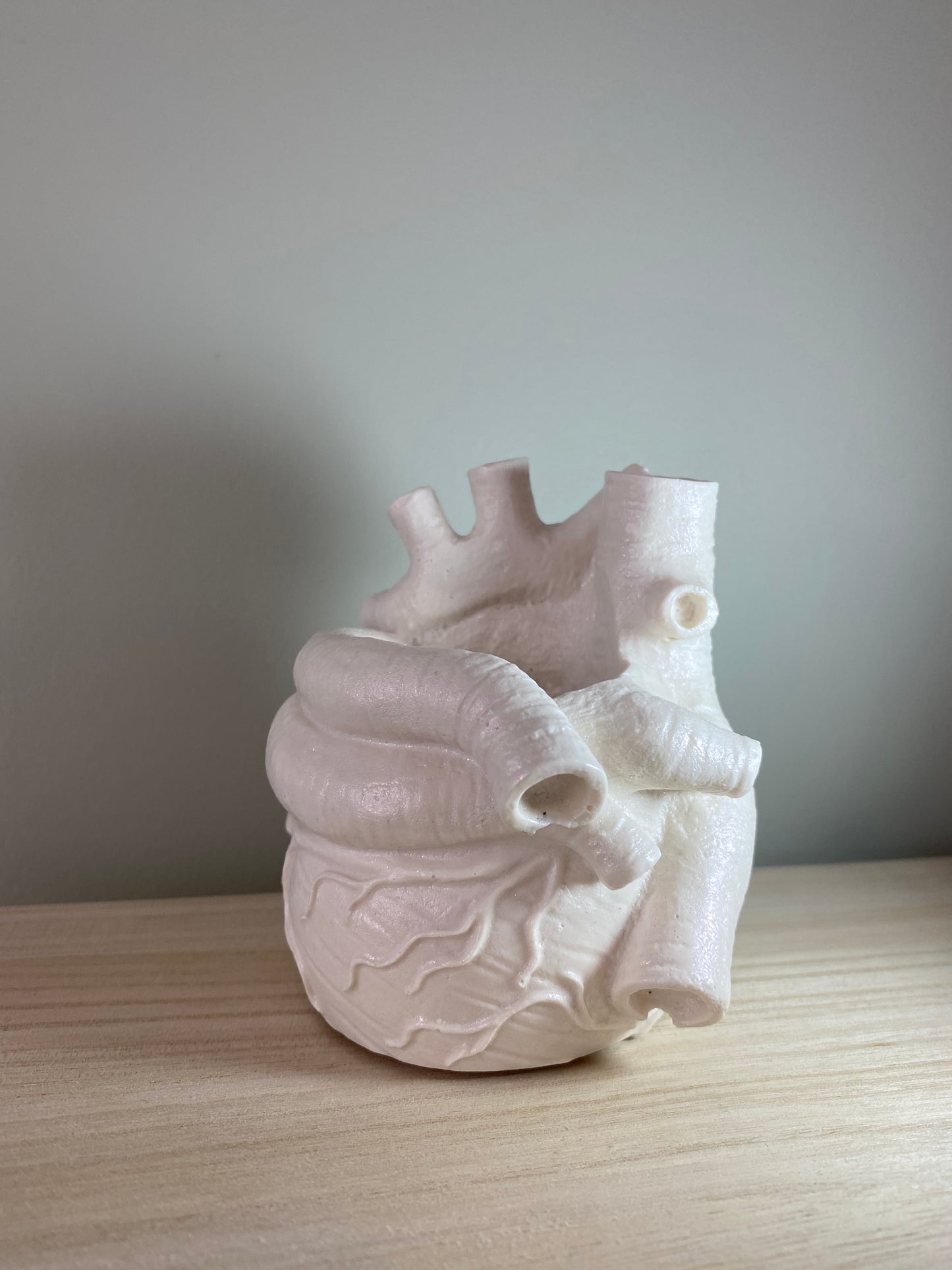 Anatomisk hjerte